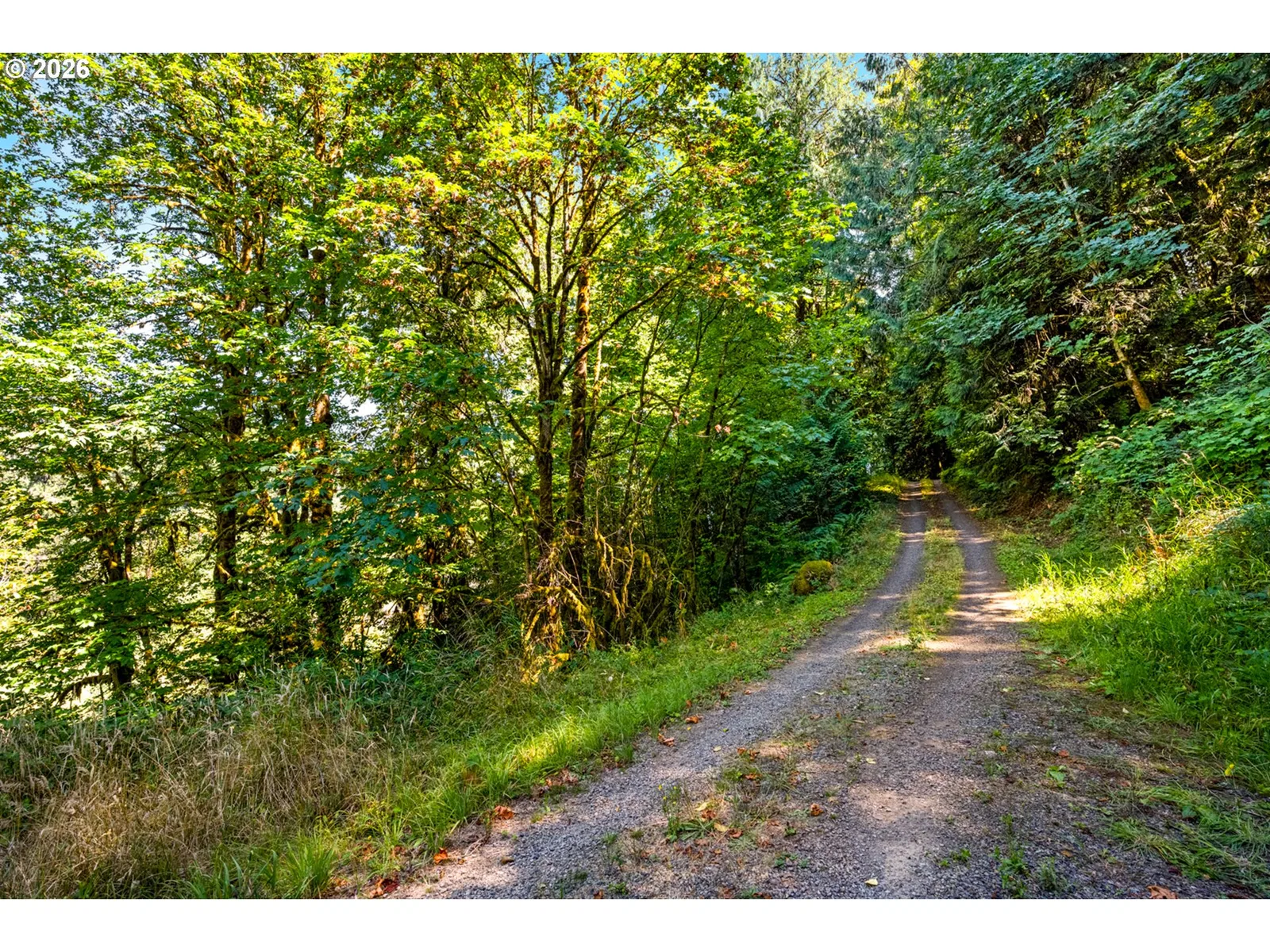 39383 NW Maller Ln, Banks, OR 97106 — photograph 45