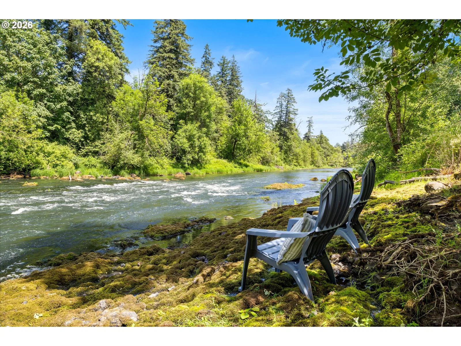 25125 SW Petes Mountain Rd, West Linn, OR 97068 — photograph 46