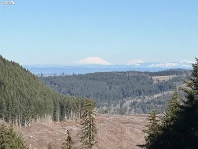Land at 0 Powers Creek (North) Loop, Silverton, OR 97381