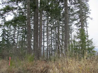 Land at 0 SW Rock Creek Rd, Sheridan, OR 97378