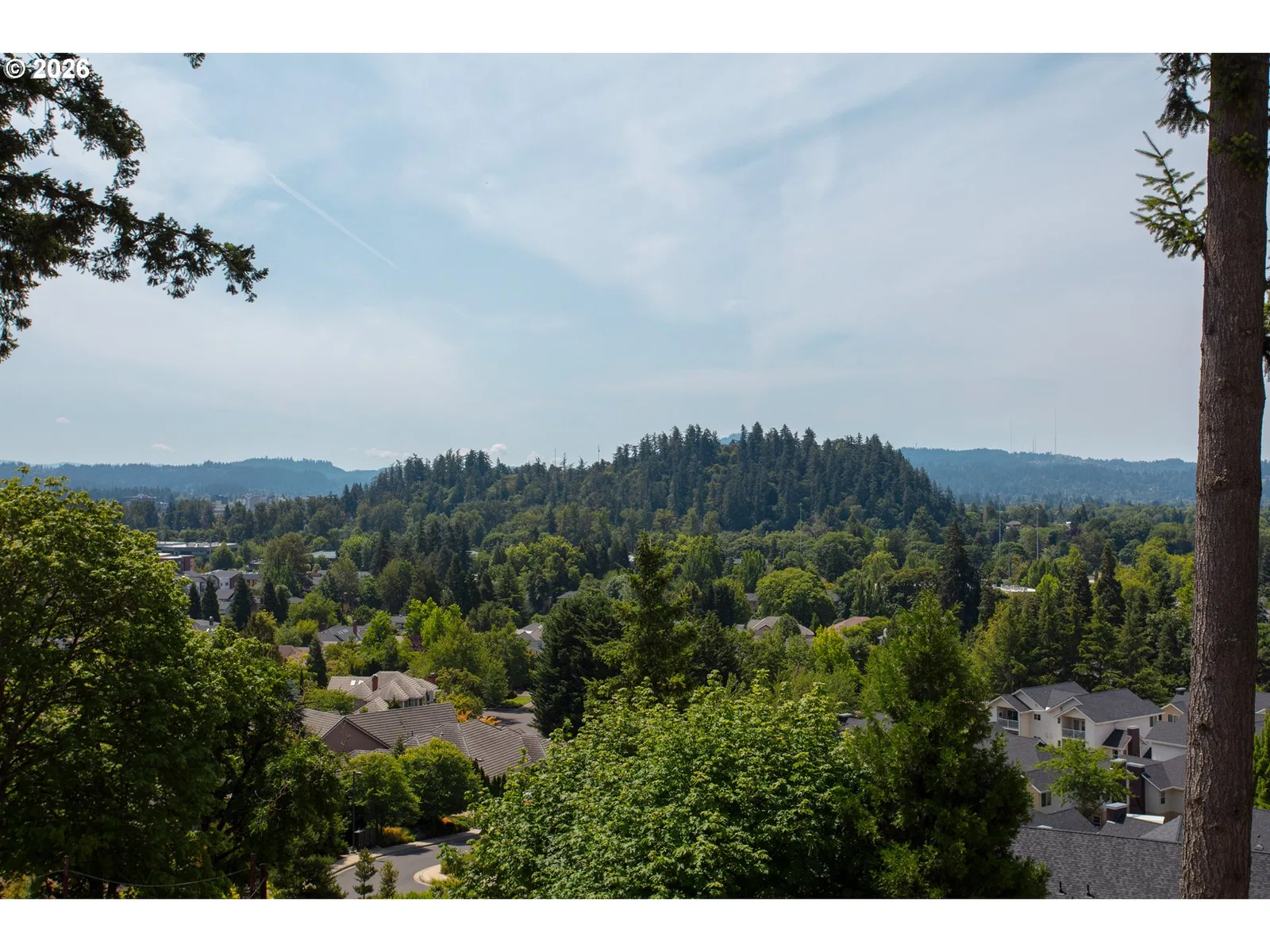 1238 Stone Forest Ct, Eugene, OR 97401 — photograph 9
