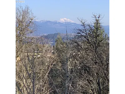 Land at SE 145th Ct, Portland, OR 97236 (Pending)