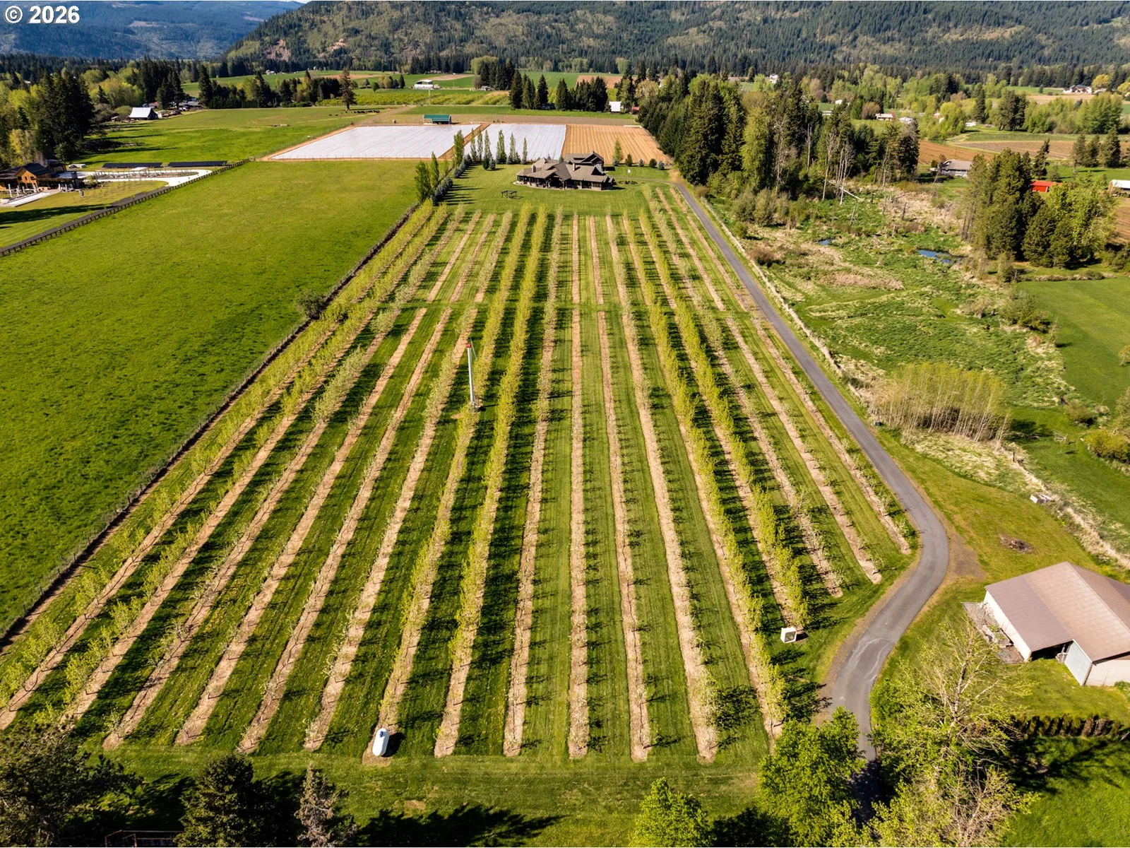 5102 Woodworth Dr, Mt Hood Prkdl, OR 97041 — photograph 46