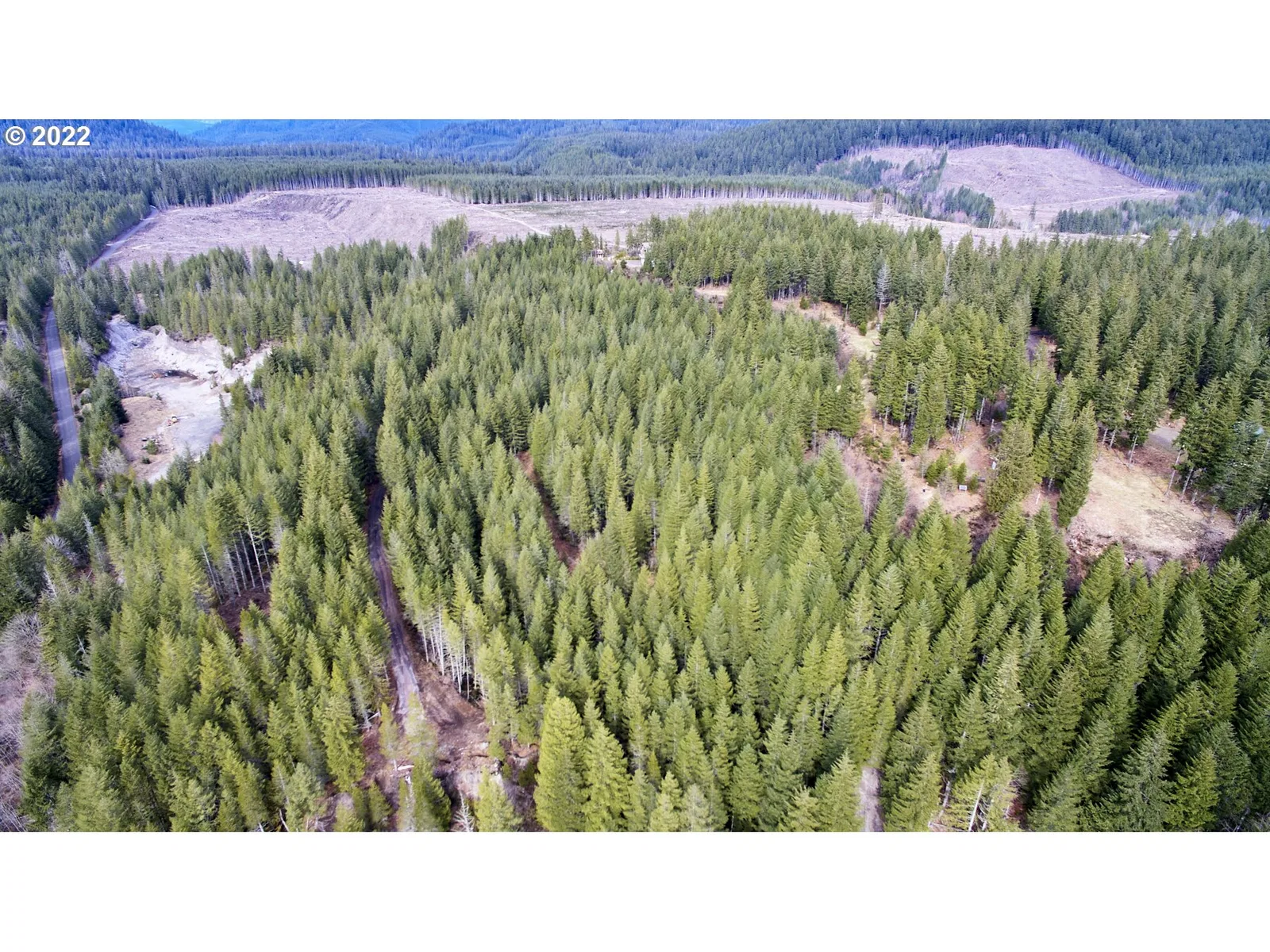 3 Lahar Ln, Cougar, Wa 98616 — photograph 9