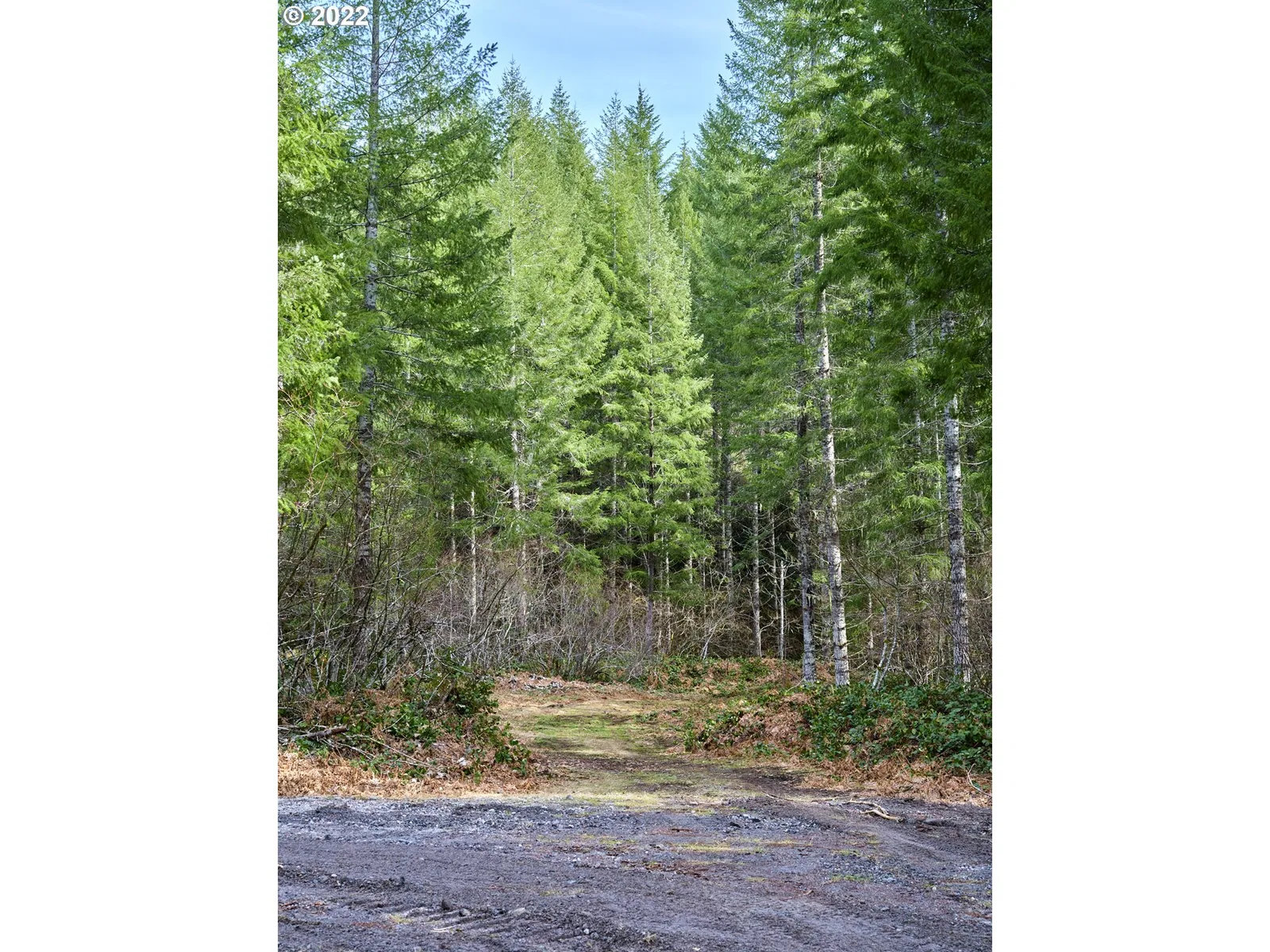3 Lahar Ln, Cougar, Wa 98616 — photograph 11