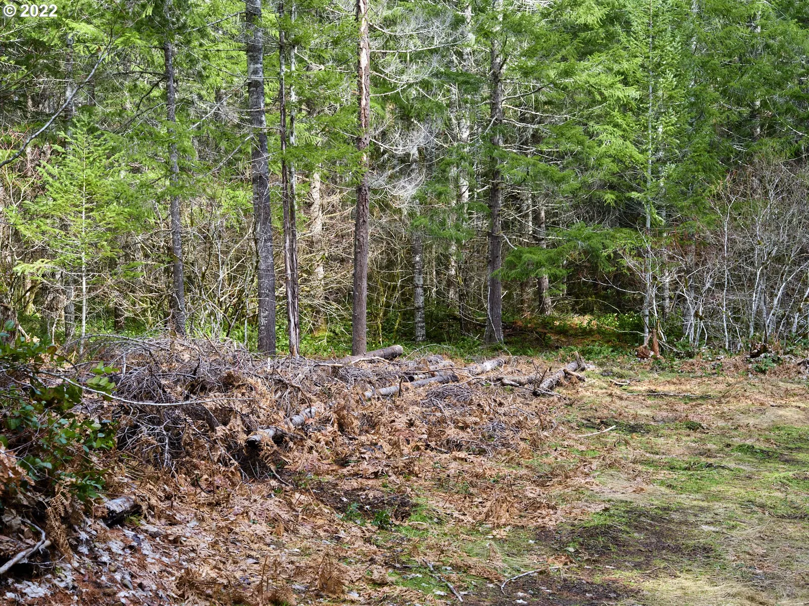 3 Lahar Ln, Cougar, Wa 98616 — photograph 12