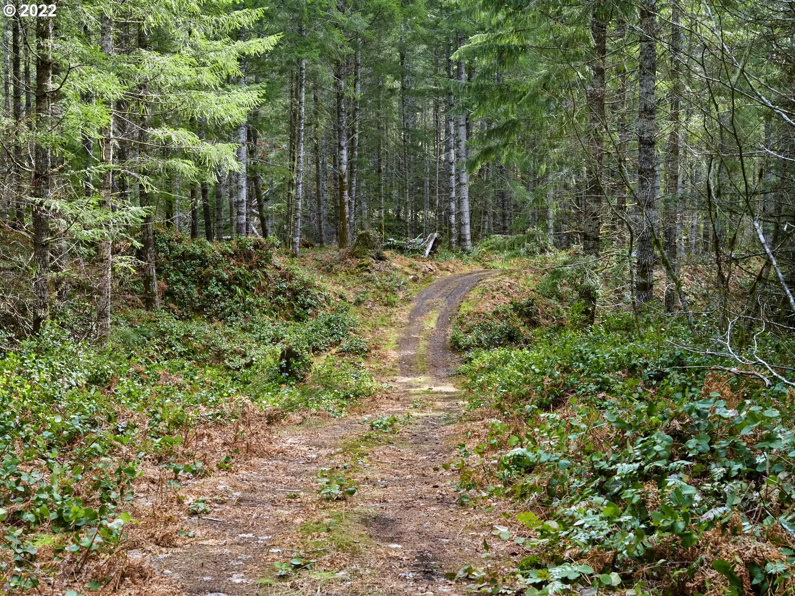 3 Lahar Ln, Cougar, Wa 98616 — photograph 15