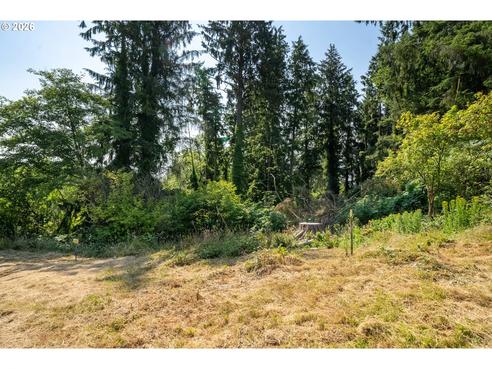 5300 High St, Bay City, OR 97107 — photograph 8