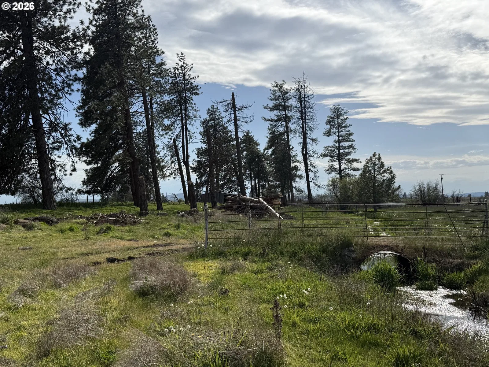 145 Hill Rd, Goldendale, Wa 98620 — photograph 38