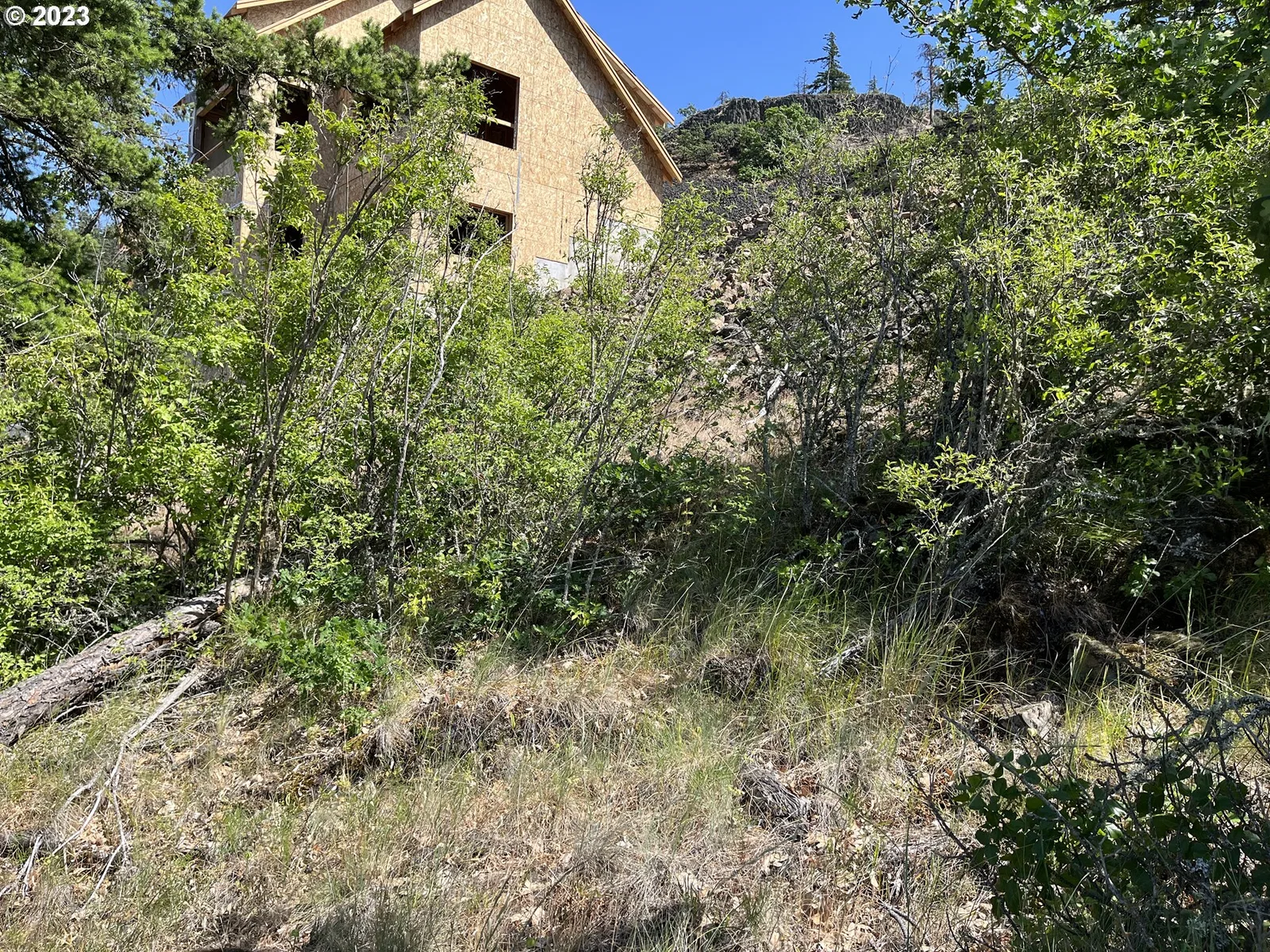 Asher St 36, Mosier, OR 97040 — photograph 16