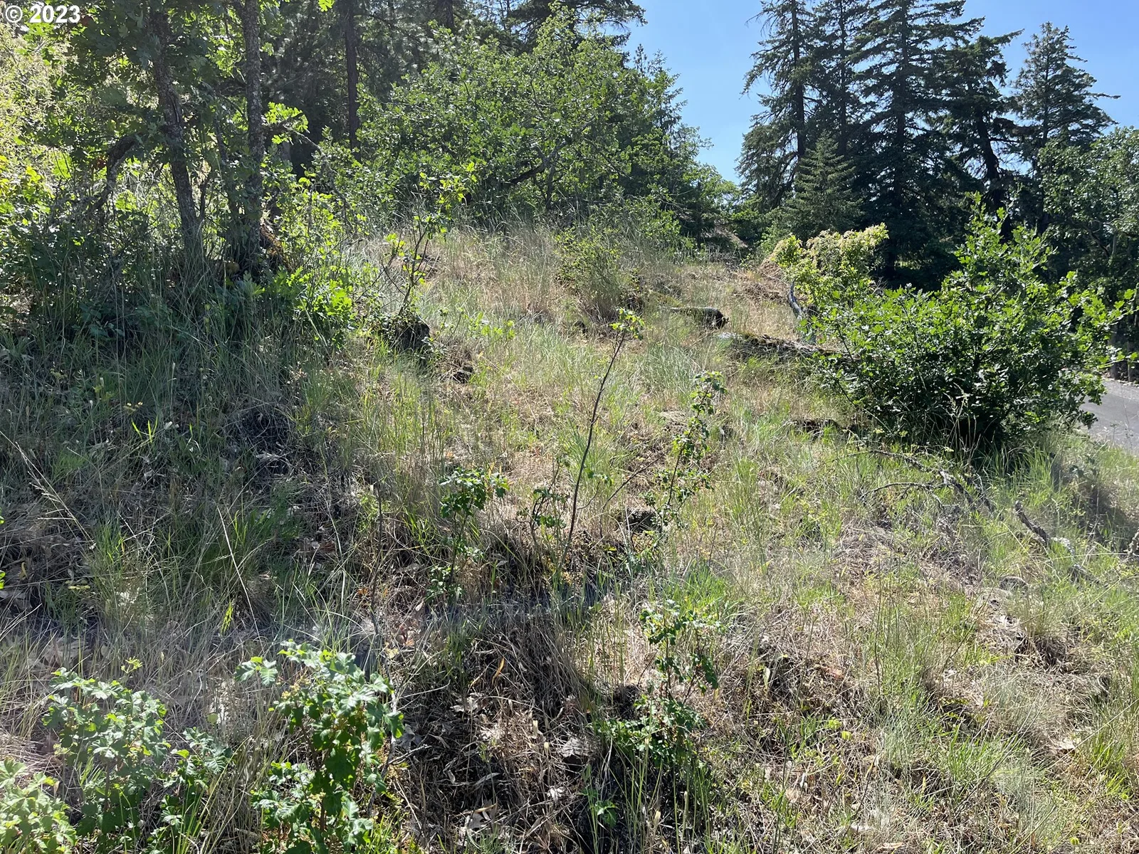 Asher St 36, Mosier, OR 97040 — photograph 18