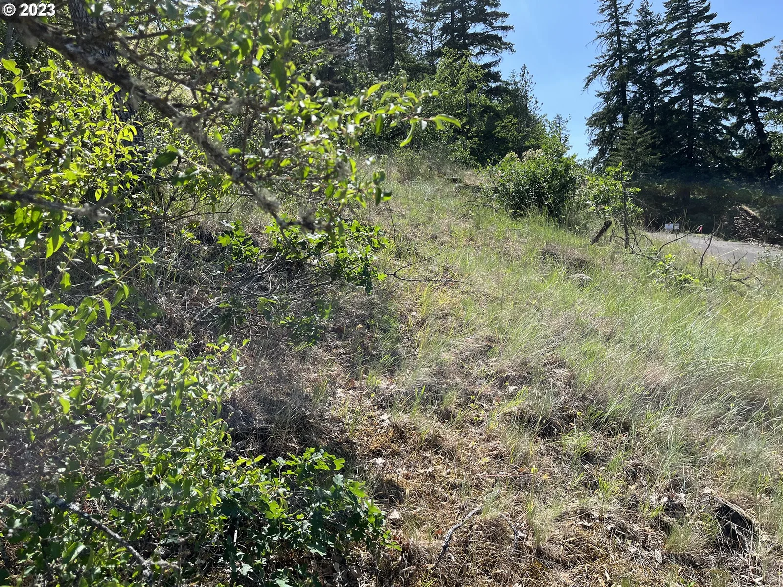 Asher St 36, Mosier, OR 97040 — photograph 19