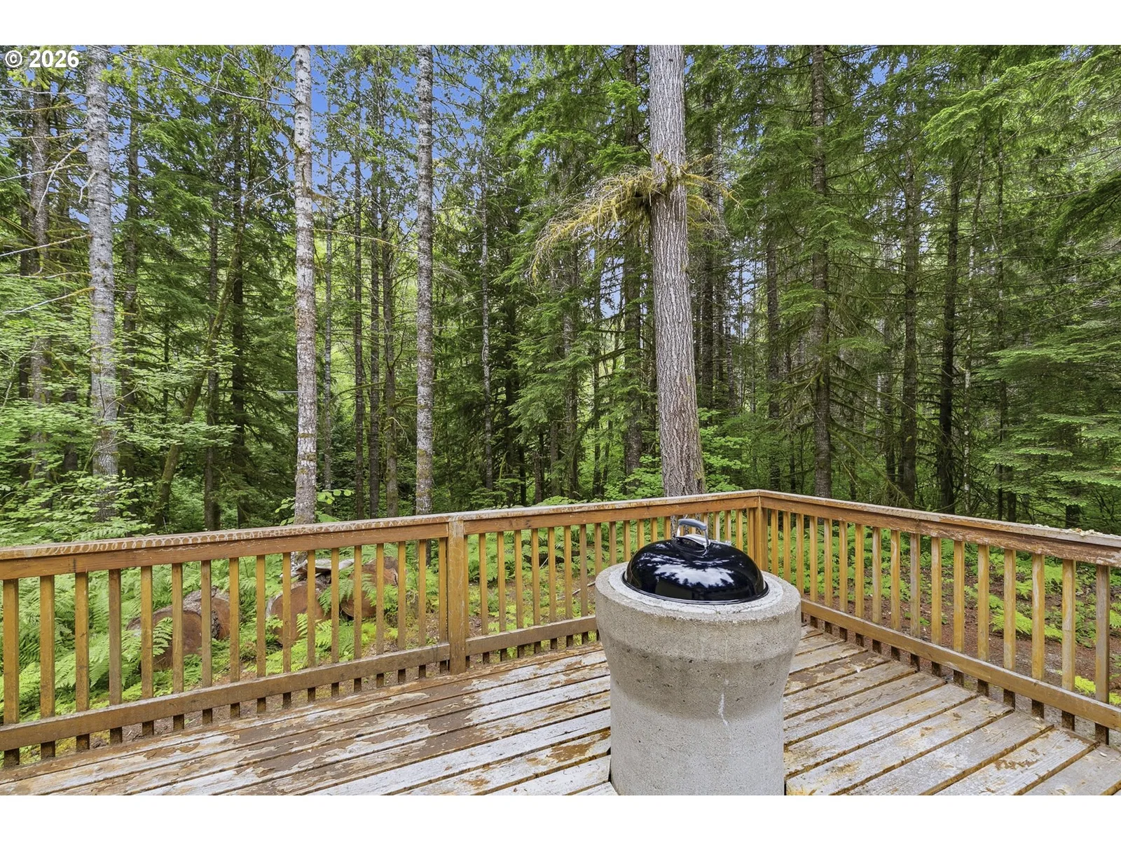 191 Northwoods Cabin, Cougar, Wa 98616 — photograph 30