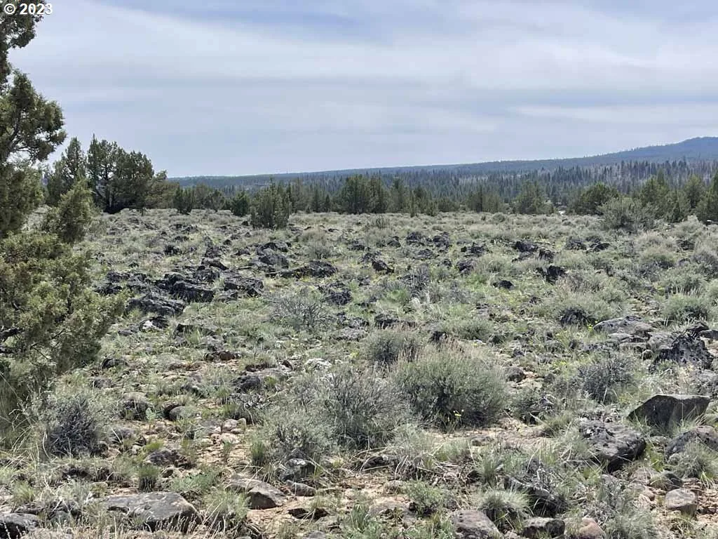 8500 Nf 379, Bly, OR 97622 — photograph 34