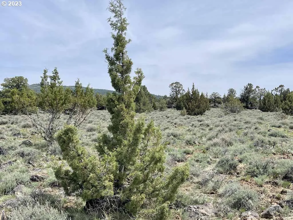 8500 Nf 379, Bly, OR 97622 — photograph 36