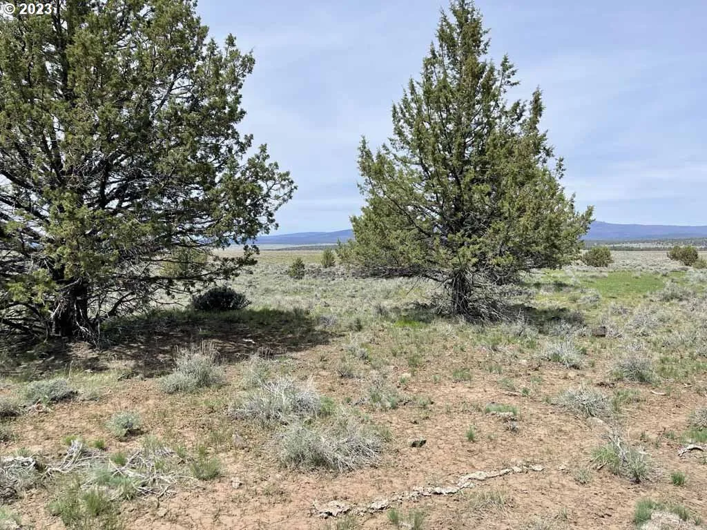 8500 Nf 379, Bly, OR 97622 — photograph 39