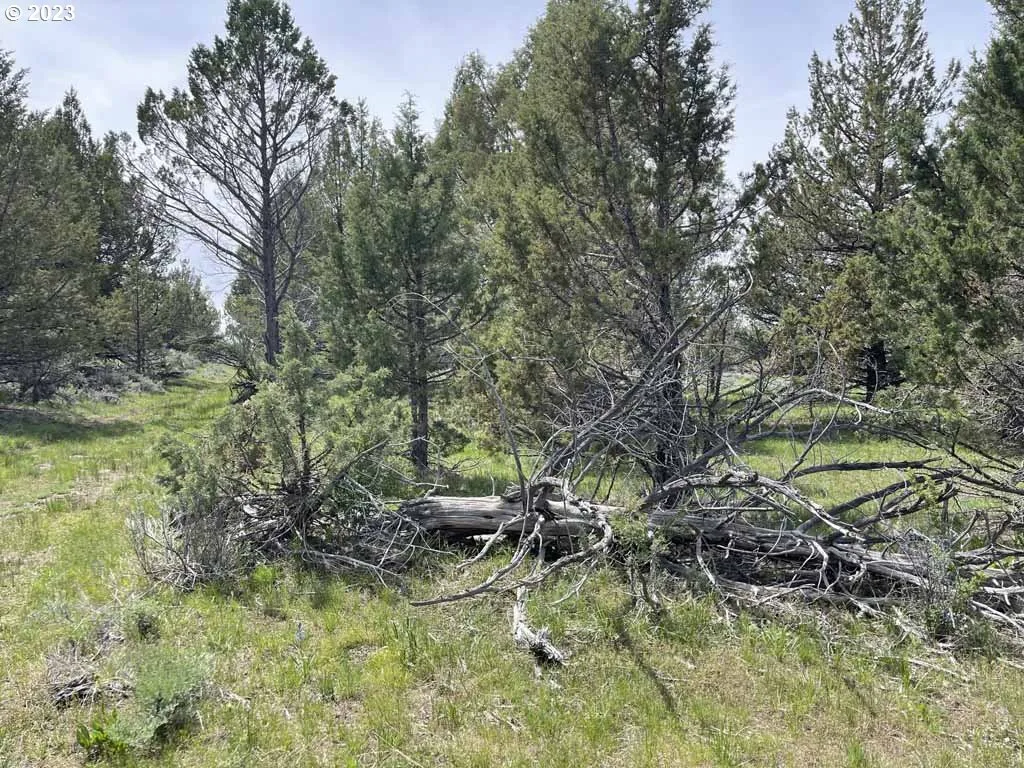 8500 Nf 379, Bly, OR 97622 — photograph 47