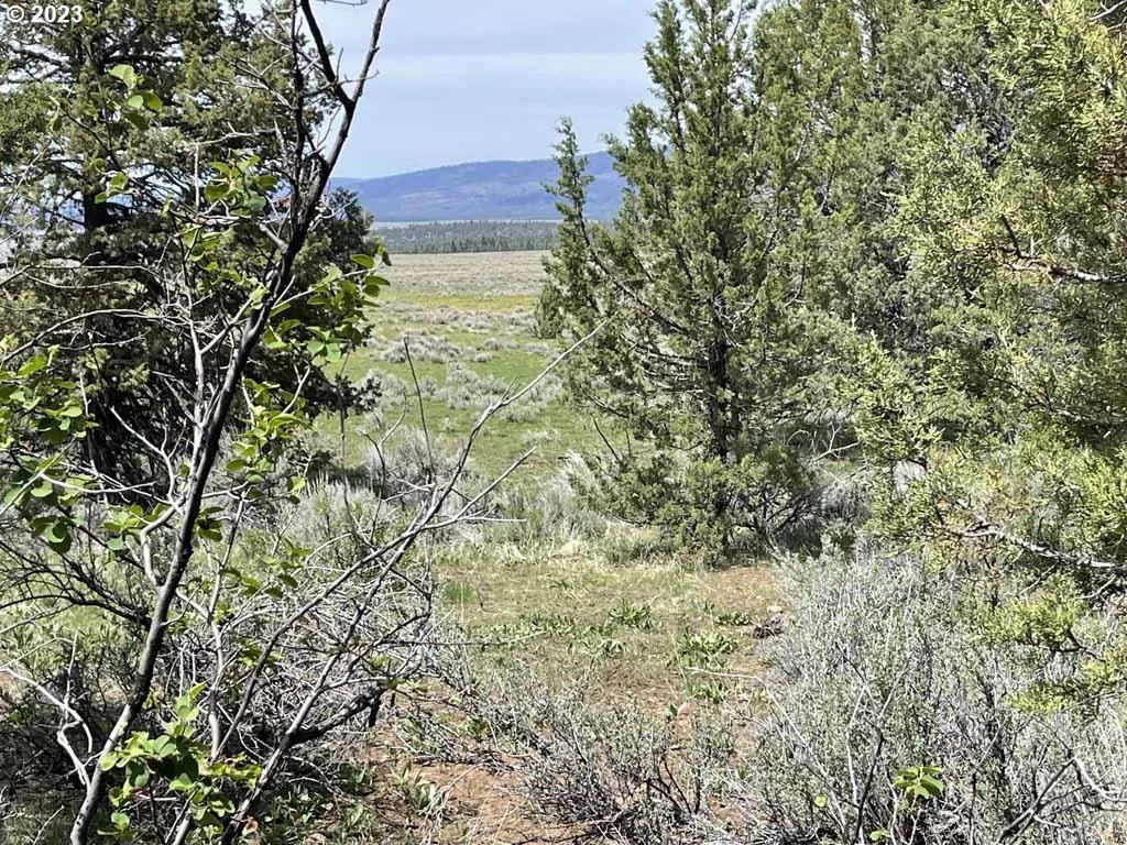 8500 Nf 379, Bly, OR 97622 — photograph 48