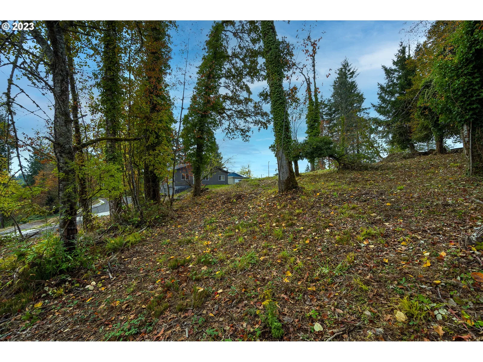 2662 Cupola Dr 31, Eugene, OR 97403 — photograph 6