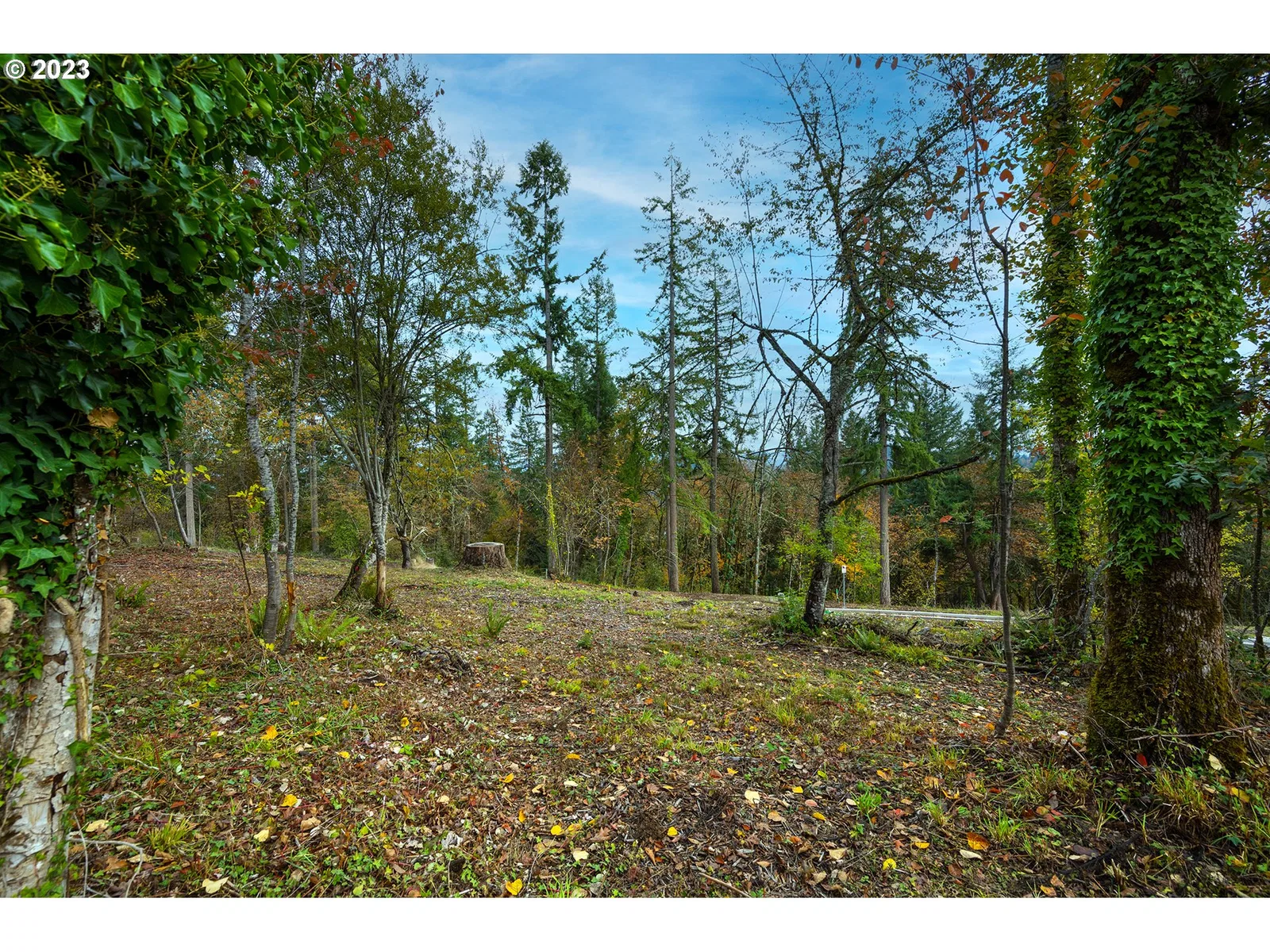 2662 Cupola Dr 31, Eugene, OR 97403 — photograph 7