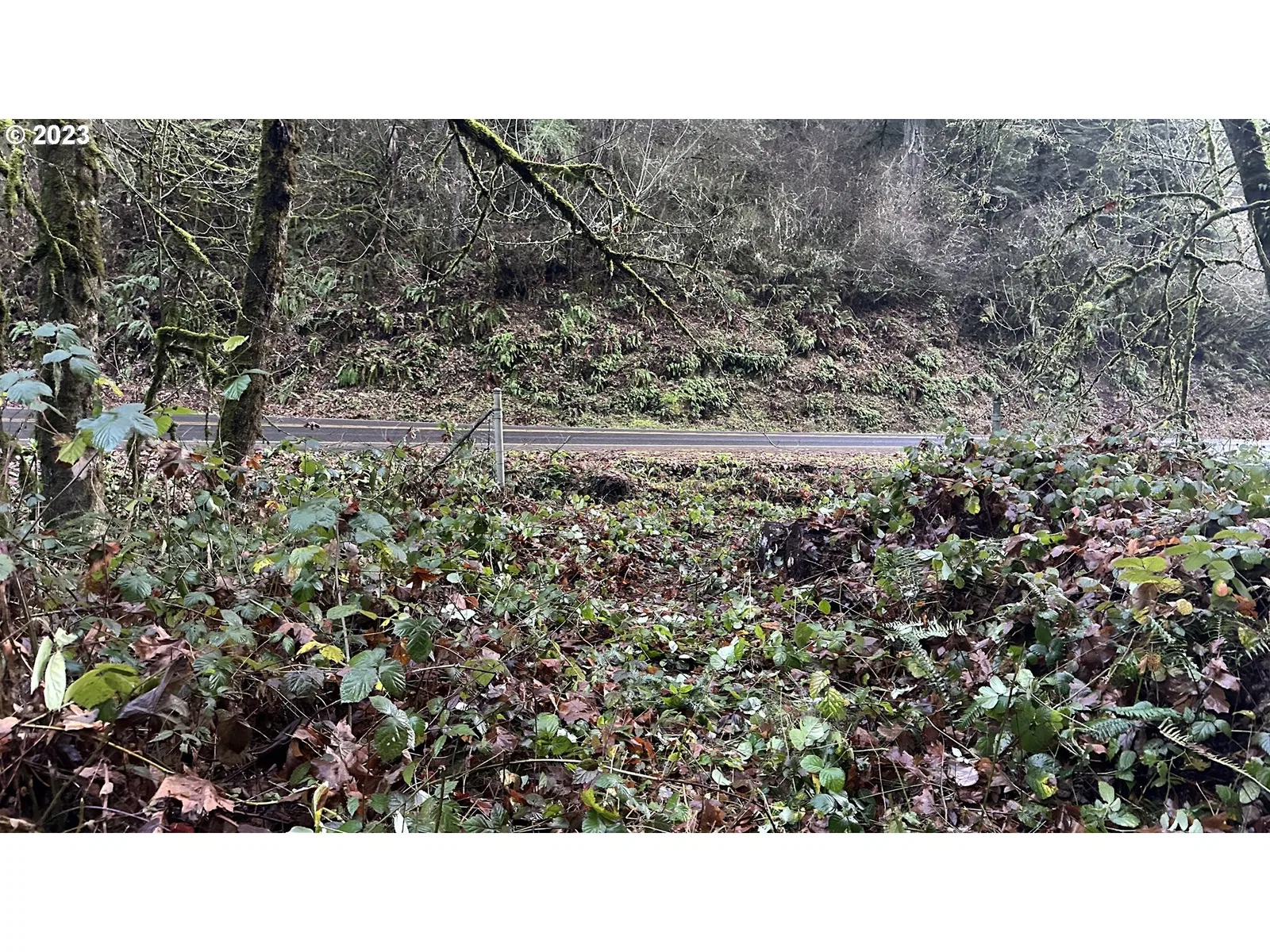 86134 Lorane Hwy, Eugene, OR 97405 — photograph 6