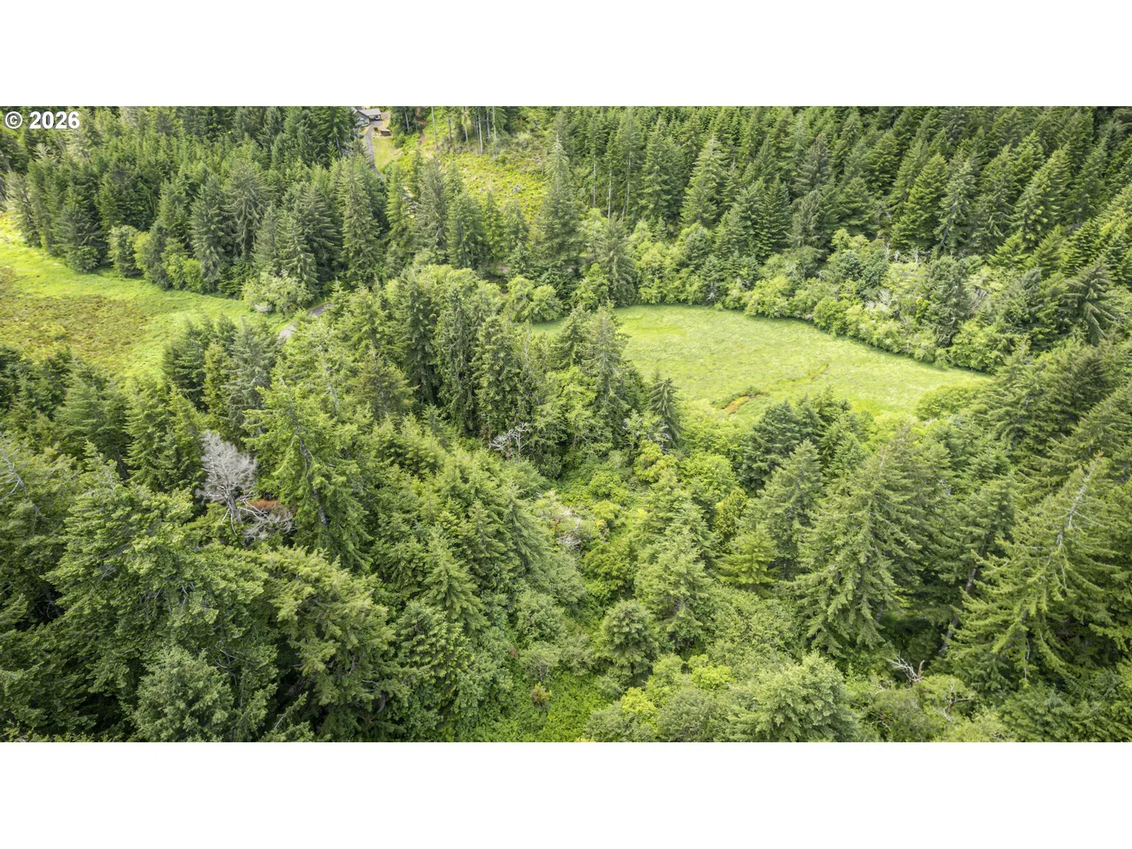 89616 Ben Bunch Rd, Florence, OR 97439 — photograph 45