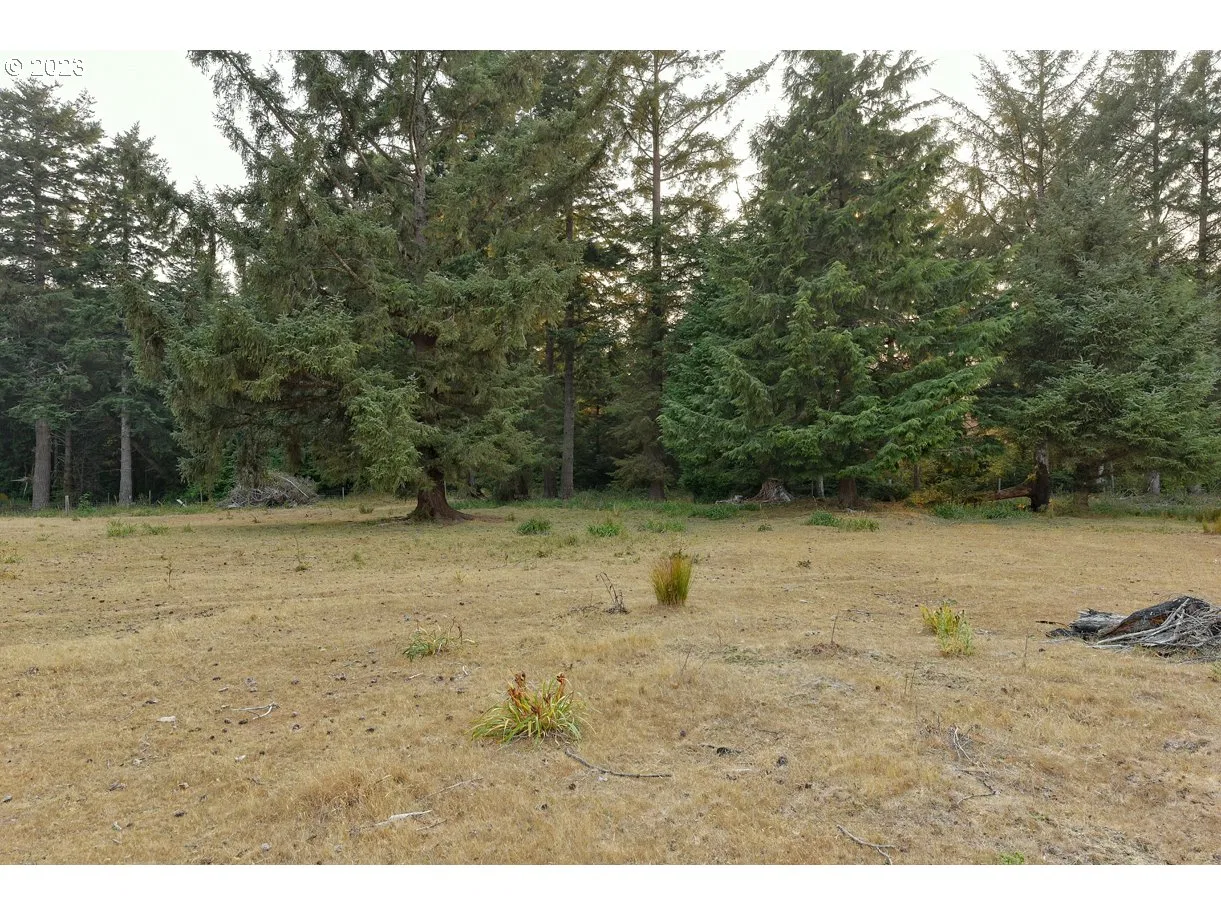 47458 Hwy 101, Langlois, OR 97450 — photograph 14