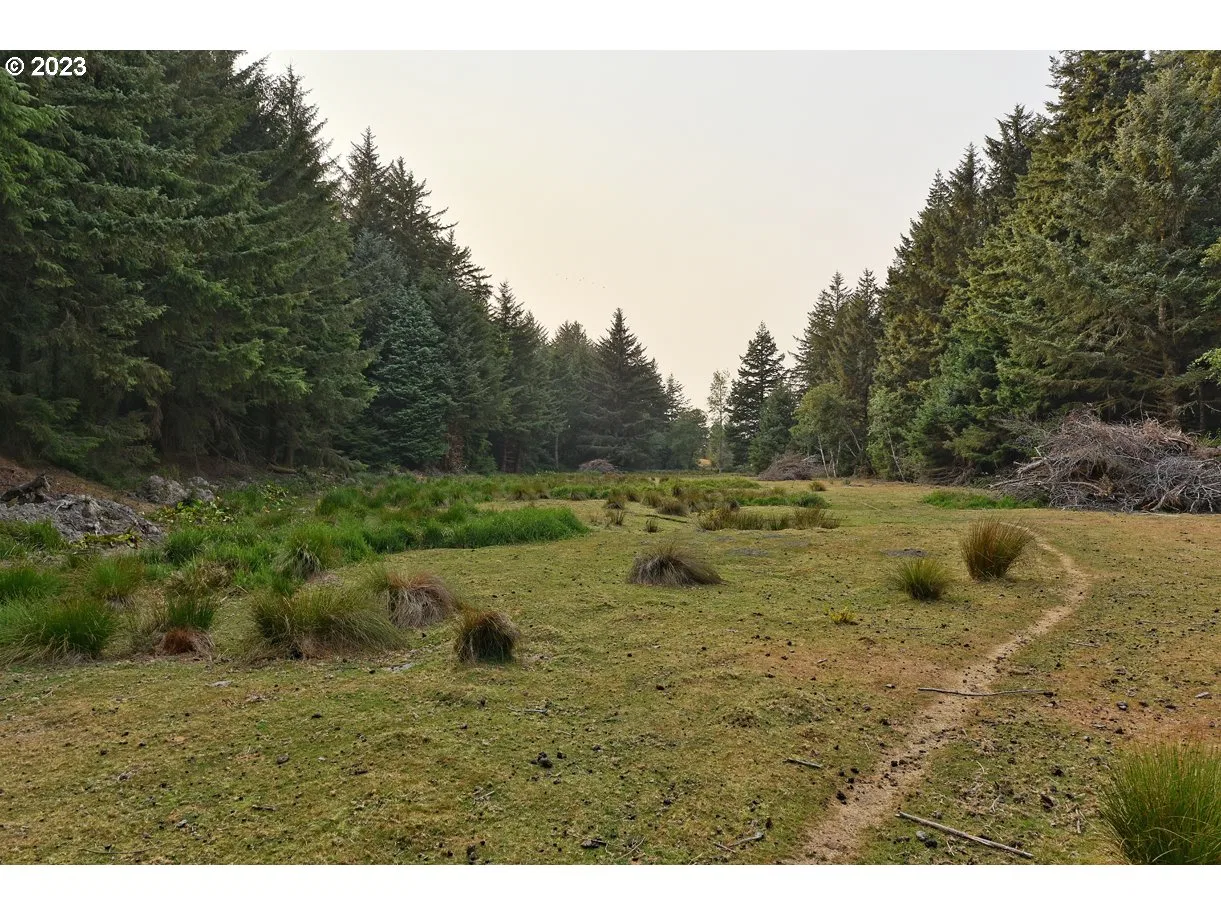 47458 Hwy 101, Langlois, OR 97450 — photograph 21
