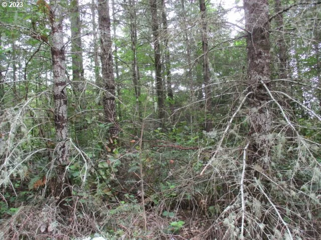 00 Gruber North Rd, Estacada, OR 97023 — photograph 8