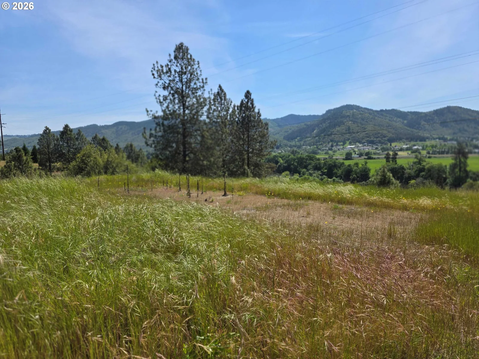 1955 Weaver Rd, Myrtle Creek, OR 97457 — photograph 23