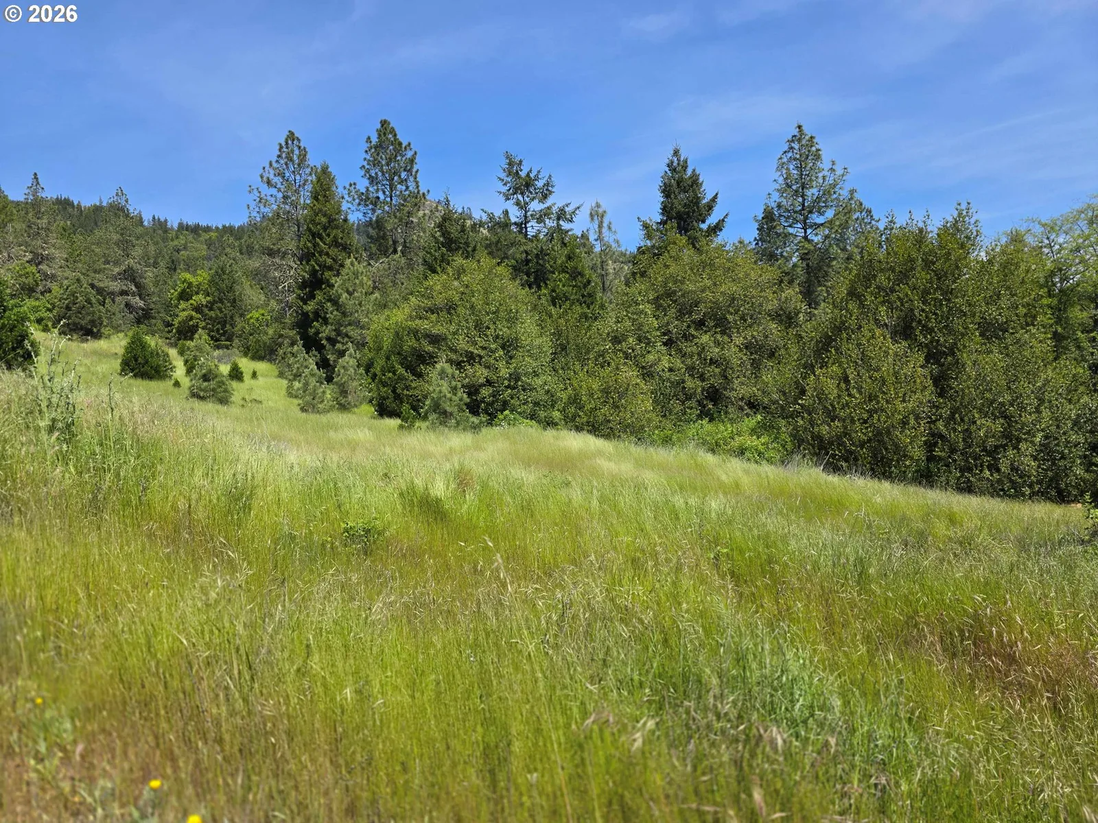 1955 Weaver Rd, Myrtle Creek, OR 97457 — photograph 26