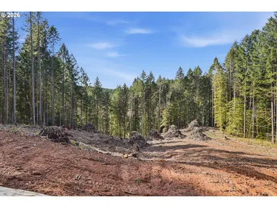 Land at 0 NW Green Mountain Rd. 1, Banks, OR 97106
