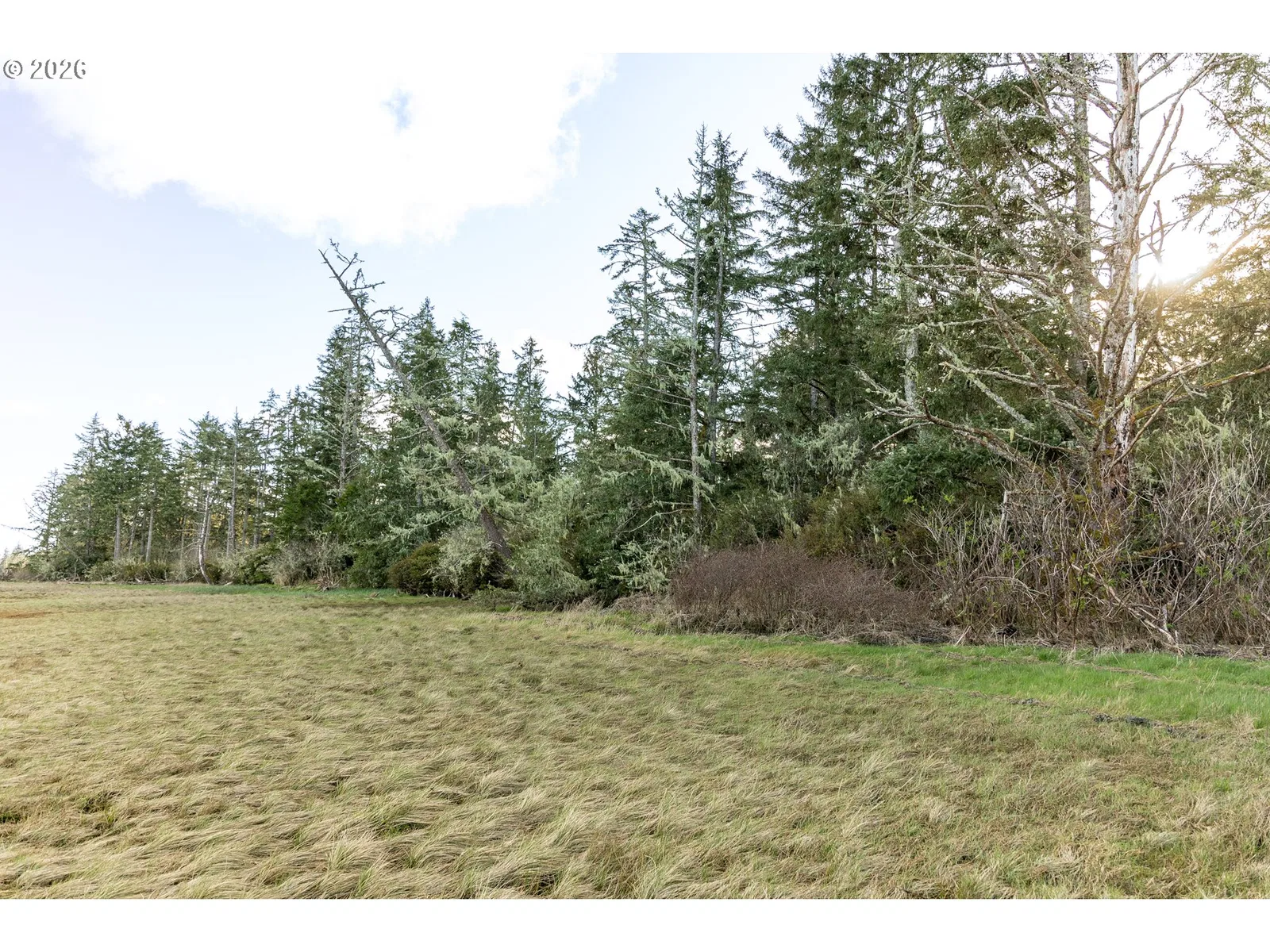 22308 Sandridge Rd, Ocean Park, Wa 98640 — photograph 23