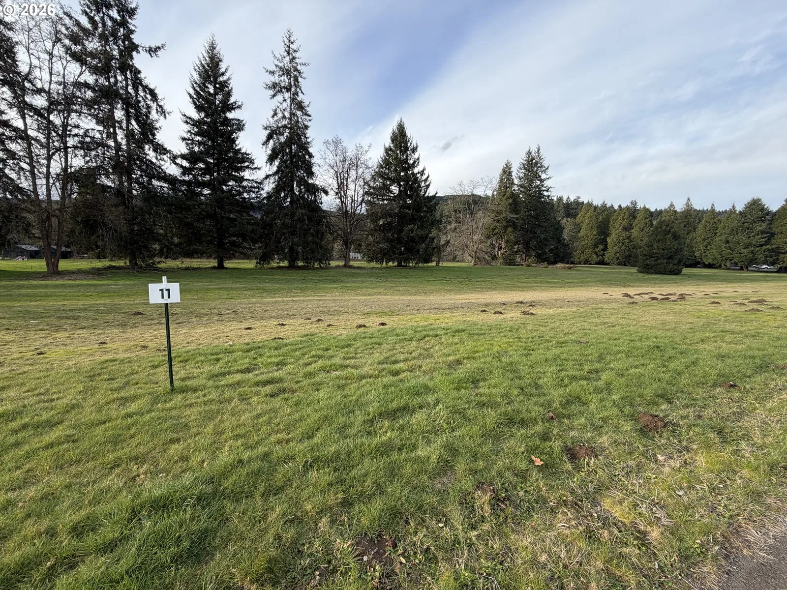 0 Omlid Dr 11, Springfield, OR 97478 — photograph 9