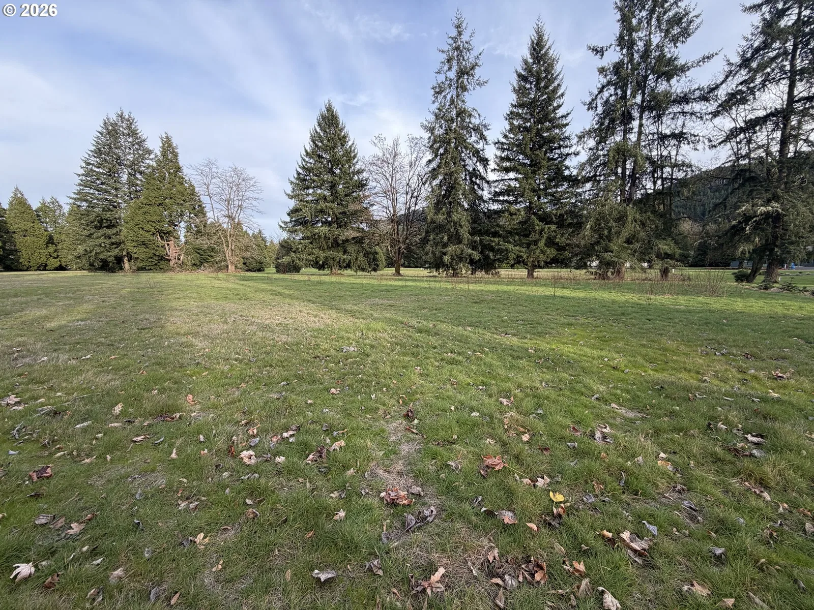 0 Omlid Dr 11, Springfield, OR 97478 — photograph 15