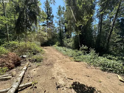 Land at 311 Holcomb Spur Rd, Kelso, Wa 98626 (Pending)