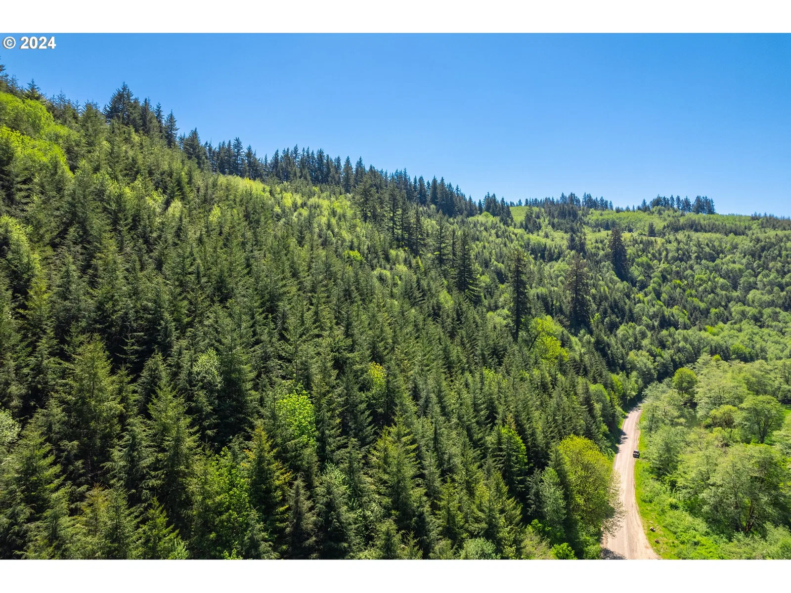 0 Harlan Rd, Toledo, OR 97391 — photograph 13