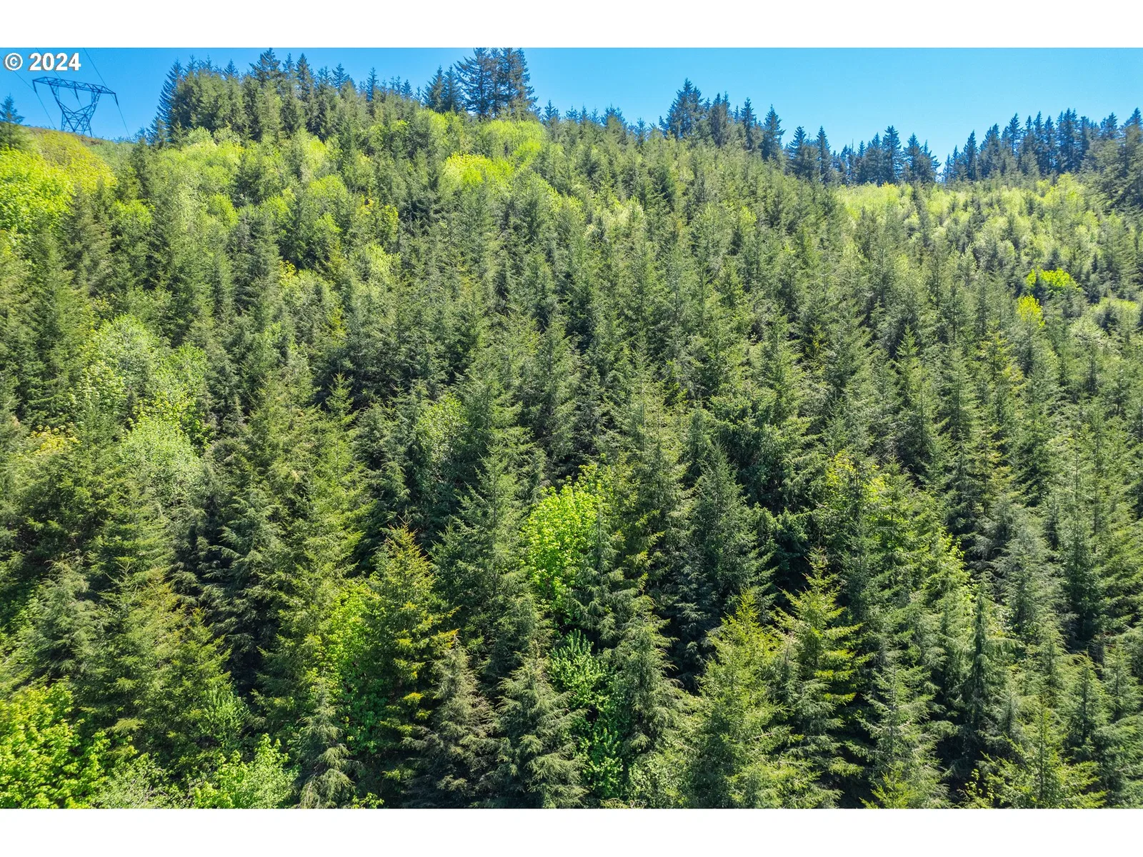 0 Harlan Rd, Toledo, OR 97391 — photograph 14