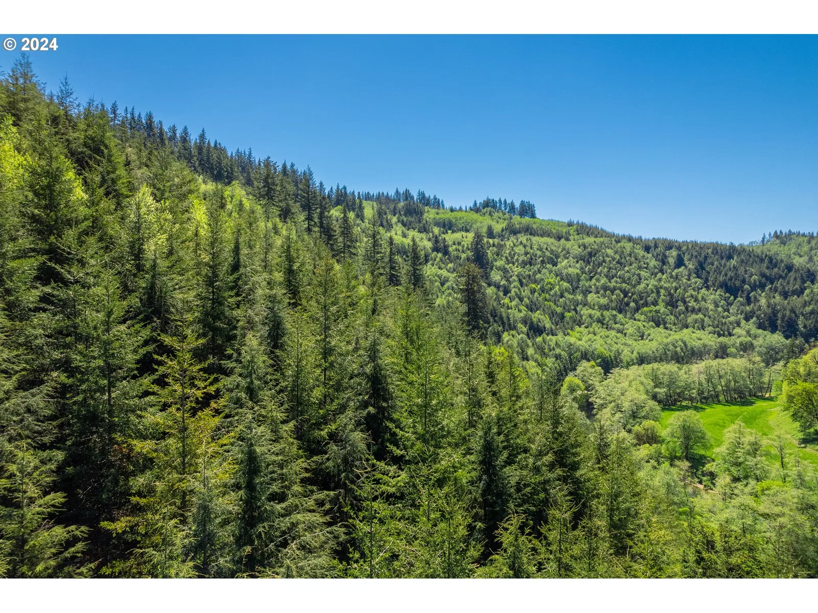 0 Harlan Rd, Toledo, OR 97391 — photograph 25