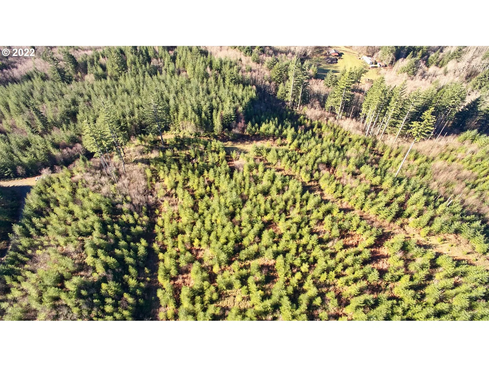 3 NE Jones Creek Rd, Camas, Wa 98607 — photograph 8