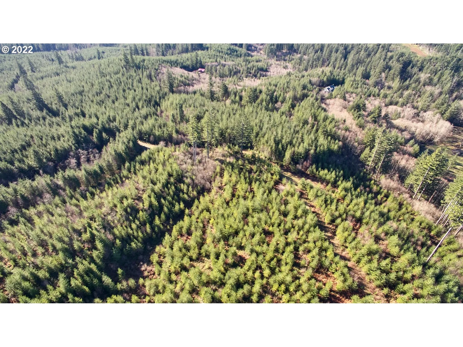 3 NE Jones Creek Rd, Camas, Wa 98607 — photograph 10