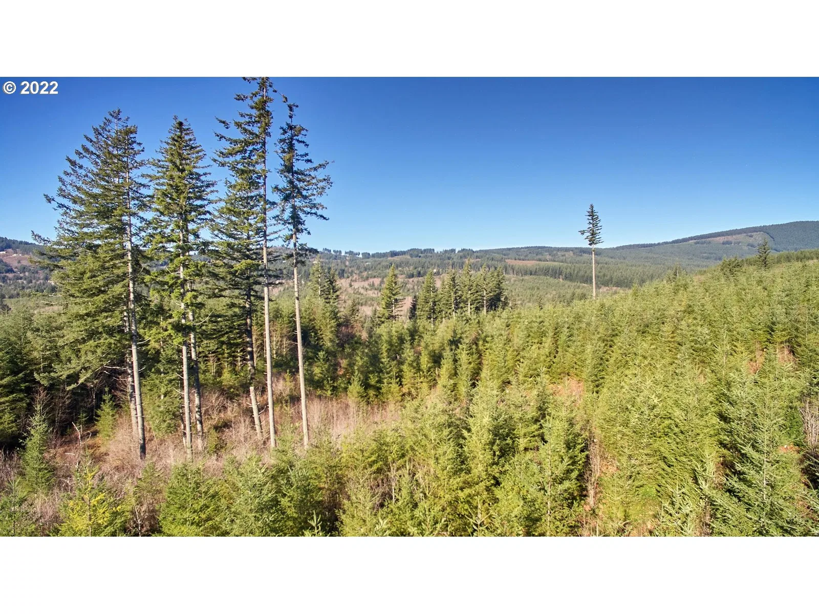 3 NE Jones Creek Rd, Camas, Wa 98607 — photograph 16