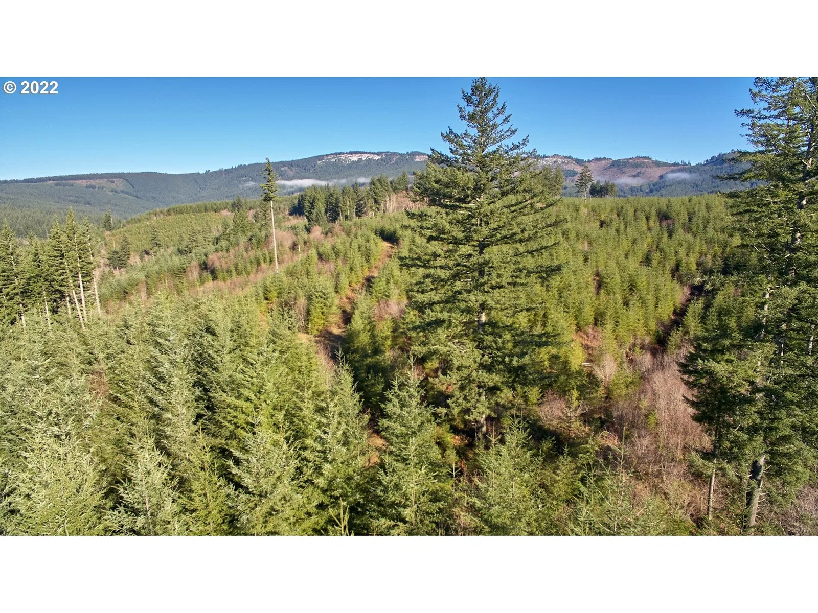 3 NE Jones Creek Rd, Camas, Wa 98607 — photograph 23