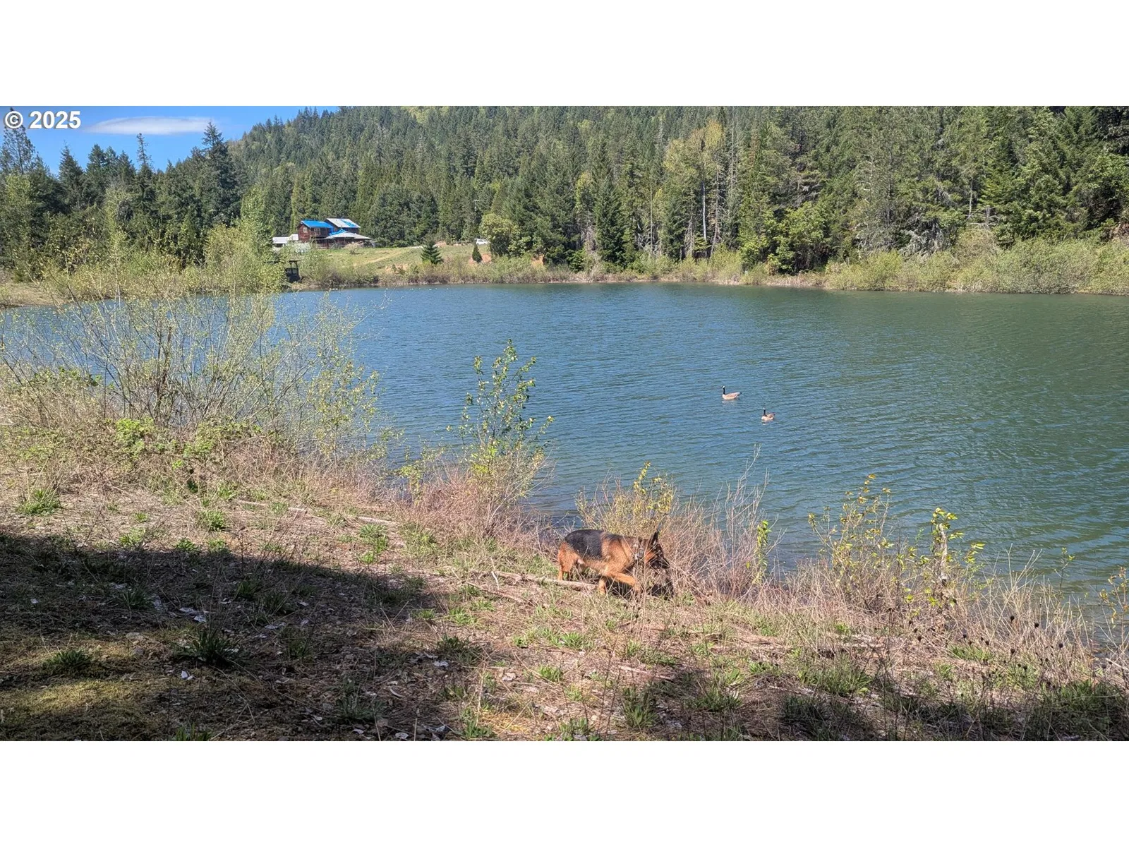 2999 Speaker Rd, Wolf Creek, OR 97497 — photograph 14