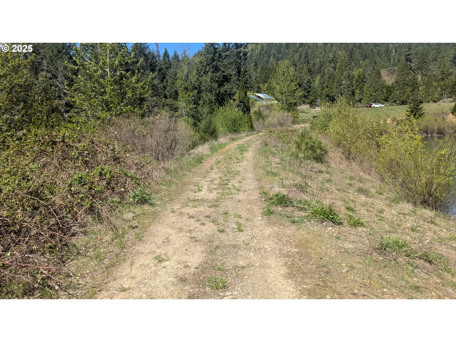 2999 Speaker Rd, Wolf Creek, OR 97497 — photograph 24