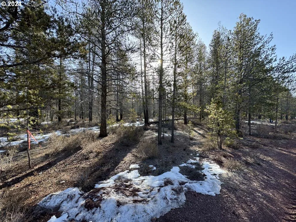 Scott View Drive Lot 6, Chiloquin, OR 97624 — photograph 8