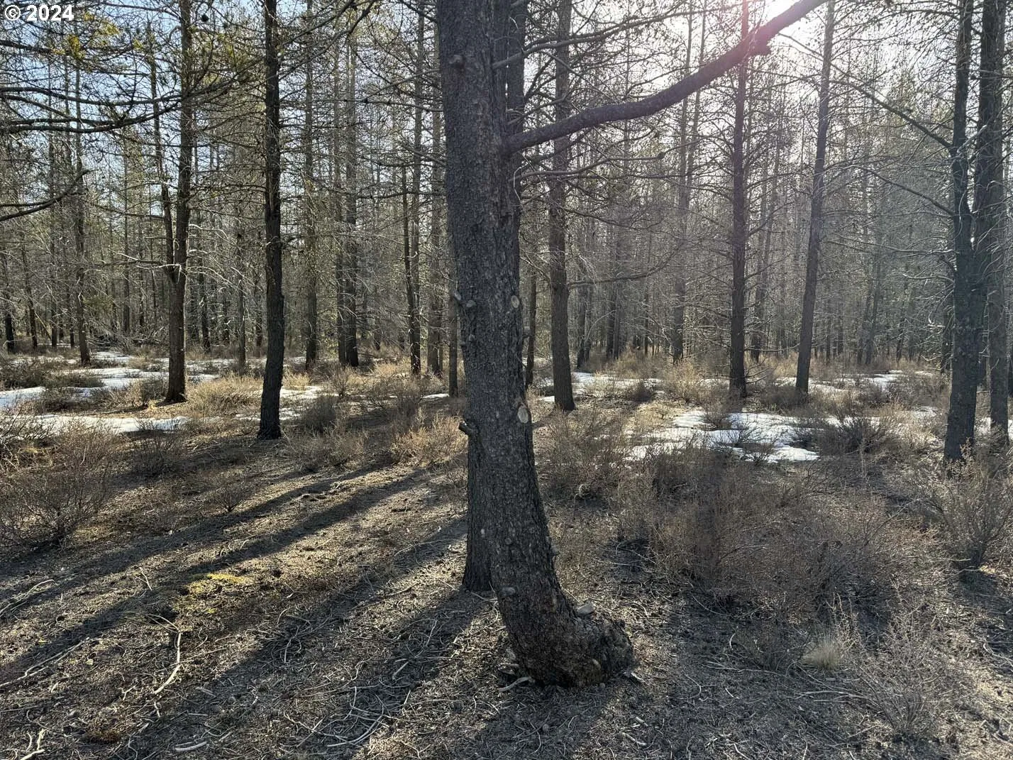 Scott View Drive Lot 6, Chiloquin, OR 97624 — photograph 21