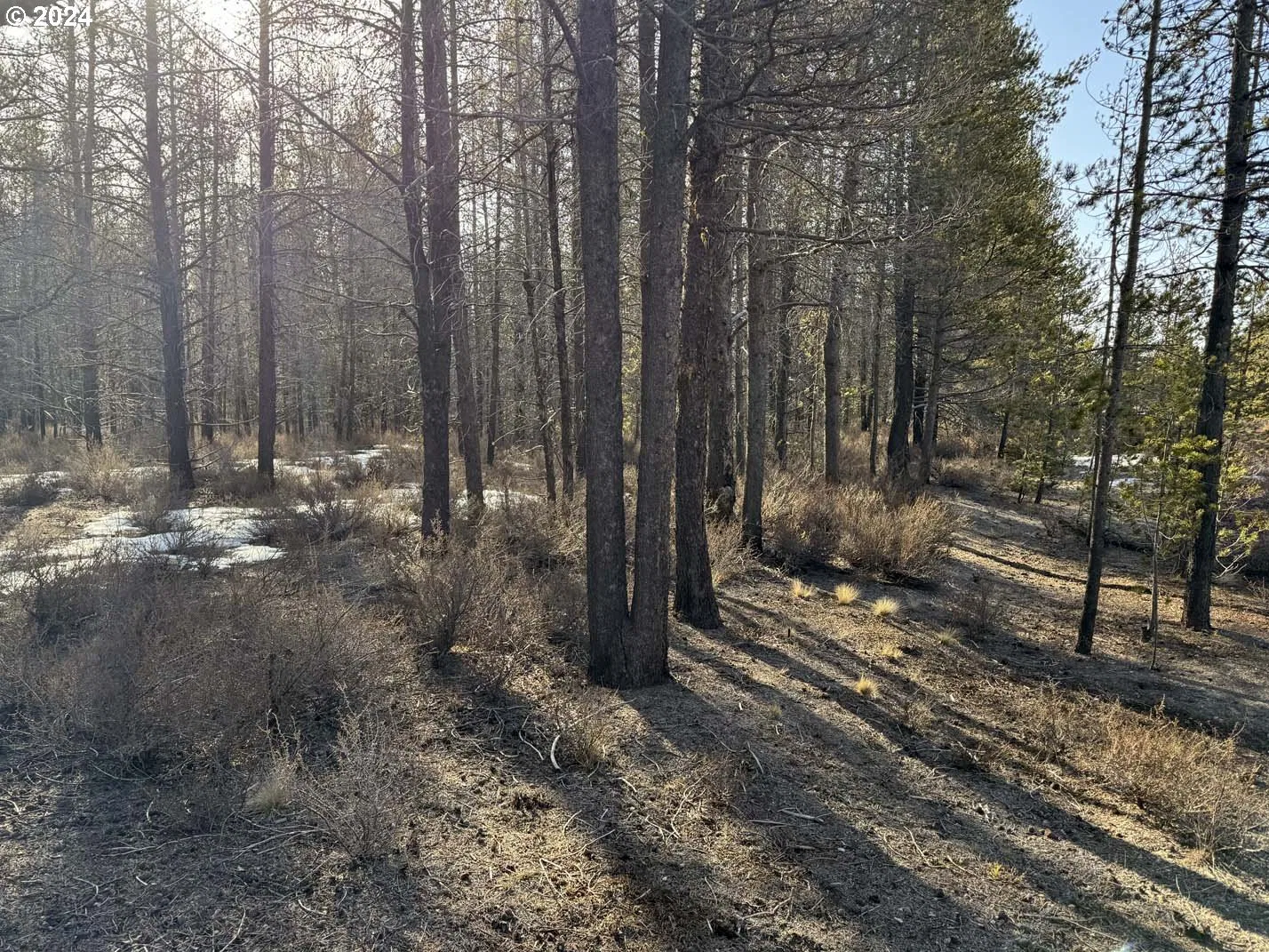 Scott View Drive Lot 6, Chiloquin, OR 97624 — photograph 22