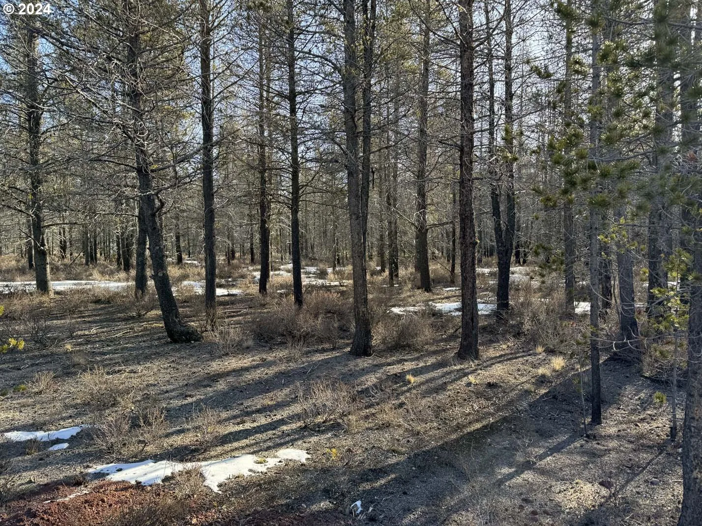 Scott View Drive Lot 6, Chiloquin, OR 97624 — photograph 23