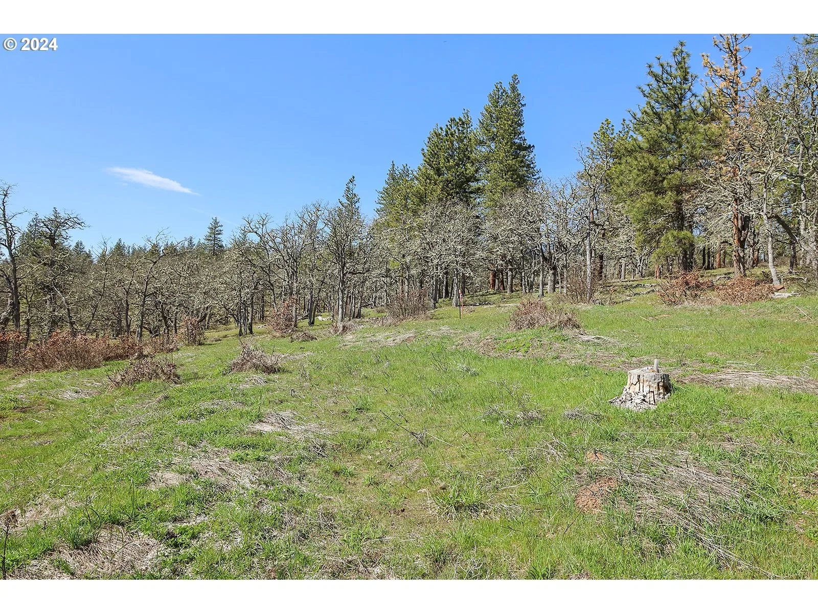 Secluded Way 3, Lyle, Wa 98635 — photograph 10